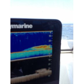 Brugerbilleder Raymarine Dragonfly